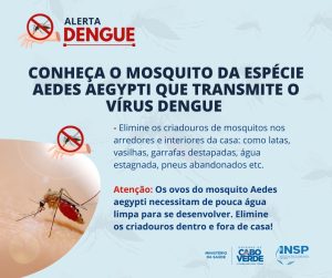 Conheça o mosquito da espécie Aedes aegypti que transmite o vírus dengue (3)